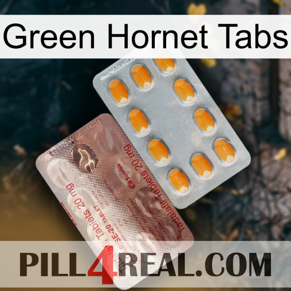 Green Hornet Tabs new13.jpg